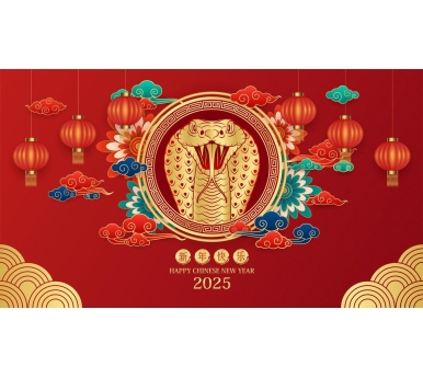 Happy Chinese New Year from Techtion Smart!